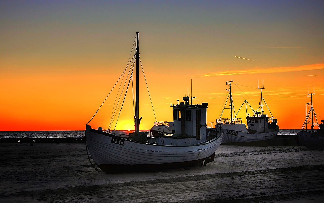 daenische-fischnamen-deutsch-daenisch