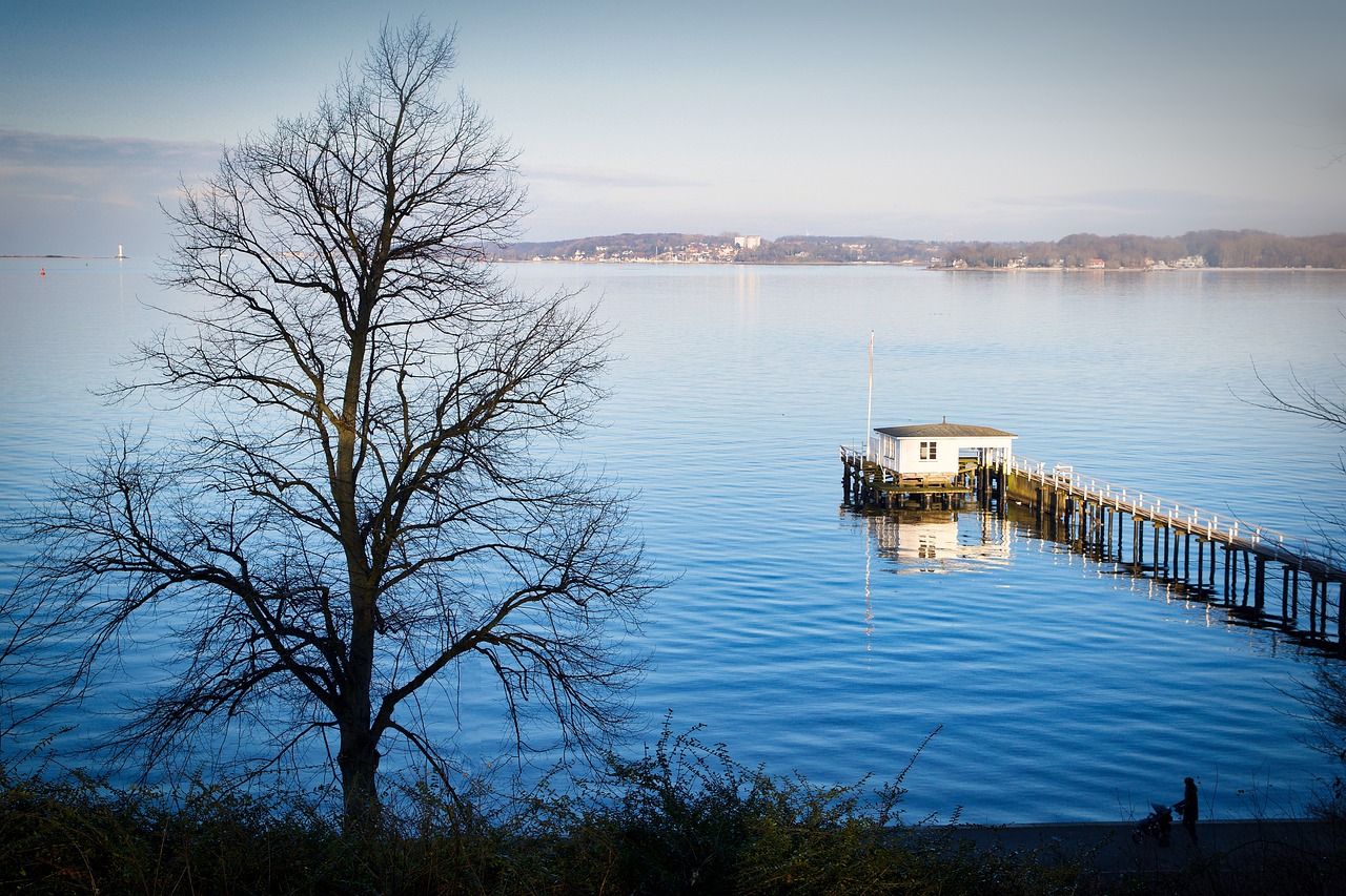 kieler-foerde-angeln